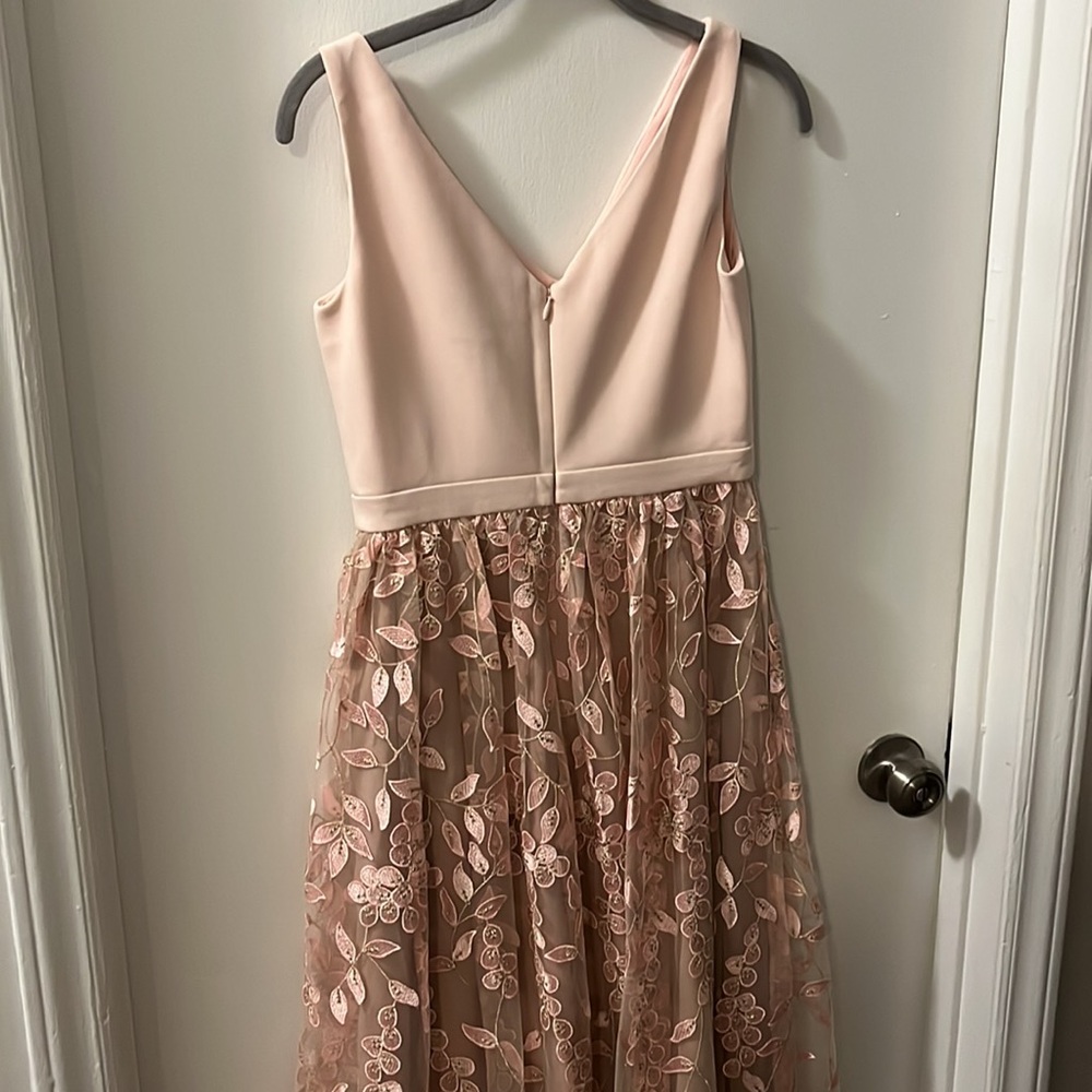 Adrianna Papell Blush Pink and Nude Floral Embroidered Maxi Dress - Picture 5 of 6